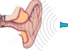 1474273702313400.jpg 20160309090213751025825.jpg